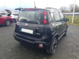
										FIAT PANDA 2022 full									