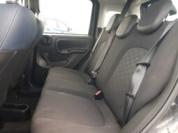 
										FIAT PANDA 2022 full									